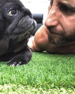 Dani Rovira Instagram - No me acuerdo de mi vida sin ti, amor mío. Tendré que volver a aprender a SER sin ti. Lo has luchado hasta donde has podido. Pero hoy ha tocado decirte adiós. No imaginaba que un adiós pudiese ser tan bonito y a la vez tan  doloroso. Has sido el regalo más bonito que me ha dado la vida. Tengo el alma en mil pedazos. Mi compañera, mi amor, mi toma de tierra. Nunca podré agradecerte el amor que me has dado a mí y a tanta gente. Te has ido tranquila, en casa, con tu cabecita junto a la mía, sin protestar, aceptando que ya llegaba el final. Recuerdo hace casi 12 años cuando llegaste a casa y desde ese día, ya no fui el mismo. He conocido el amor incondicional contigo. Soy mejor persona desde que llegaste a mi vida. Te amo, mi pequeña yunque. Dile a Buyito, si le ves, que cuide de ti, y que también le echo de menos. Si soy más humano ha sido gracias a ti. Y gracias a ti, pude abrir la puerta de mi amor por todos los animales. Espero haber estado a la altura de ti, el ser vivo más especial que jamás he conocido. Mi amor, duele, duele tanto que no hay consuelo. Descansa…ojalá donde estés, todo esté lleno de flores, para que tengas todo el tiempo para olerlas. Porque la vida va de eso. Gracias por enseñarme tanto. Gracias a todos los que la habéis querido tanto. 
Mi vida, mi amor, mi compañera. Te AMARÉ siempre.