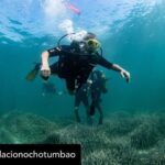 Dani Rovira Instagram – • @fundacionochotumbao 🪸 Este 2023 hemos replantado fragmentos de vida en el Mediterráneo de la mano de @arrelsmarines. 🌱🌎

Poco a poco esos fragmentos se convierten en praderas de Posidonia, uno de los ecosistemas costeros clave en la mitigación del cambio climático. 

En estas 📸 podéis ver uno de los momentos más especiales de la visita de @danirovira y @d10solano, patronos de Ochotumbao y @joselitorovira @arturogcampos y @javitatay3, amigos de la Fundación, junto al equipo de Arrels Marines: la expedición submarina para ver los primeros brotes de este proyecto tan ambicioso y que nos hace tanta ilusión que sea ya una realidad. 🧡

En nuestra web 🔗 podéis conocer más sobre este proyecto al que nuestra cofundadora @claralago1 ha destinado la recaudación íntegra de su colaboración con varias marcas. 

Fotos: @nicolau_c.pons

➕ info 👉 https://www.ochotumbao.org/causa/reforestacion-de-las-praderas-de-posidonia-en-mallorca/

#Ochotumbao