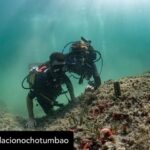Dani Rovira Instagram – • @fundacionochotumbao 🪸 Este 2023 hemos replantado fragmentos de vida en el Mediterráneo de la mano de @arrelsmarines. 🌱🌎

Poco a poco esos fragmentos se convierten en praderas de Posidonia, uno de los ecosistemas costeros clave en la mitigación del cambio climático. 

En estas 📸 podéis ver uno de los momentos más especiales de la visita de @danirovira y @d10solano, patronos de Ochotumbao y @joselitorovira @arturogcampos y @javitatay3, amigos de la Fundación, junto al equipo de Arrels Marines: la expedición submarina para ver los primeros brotes de este proyecto tan ambicioso y que nos hace tanta ilusión que sea ya una realidad. 🧡

En nuestra web 🔗 podéis conocer más sobre este proyecto al que nuestra cofundadora @claralago1 ha destinado la recaudación íntegra de su colaboración con varias marcas. 

Fotos: @nicolau_c.pons

➕ info 👉 https://www.ochotumbao.org/causa/reforestacion-de-las-praderas-de-posidonia-en-mallorca/

#Ochotumbao