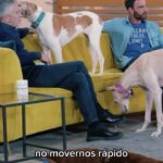 Dani Rovira Instagram – 🐶🐾¿Cómo ayudar a un perro con miedo? 

Ya tienes disponible el programa #UnDíaDePerros con Fernando Grande-Marlaska en #RTVEPlay