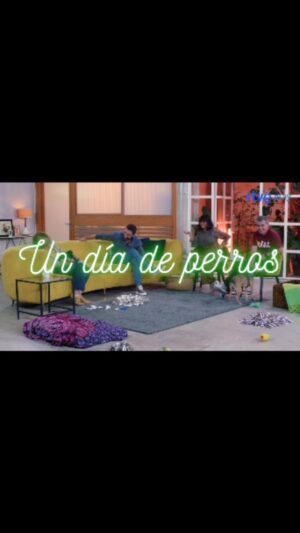 Dani Rovira Instagram - Este domingo estrenamos #UnDíaDePerros @rtveplay 

De invitado viene #Scott que ha querido traerse a su compi @mercedesmila 

Qué ilusionados estamos con este proyecto. La educación canina, el respeto por ellos, el humor y el amor como ingredientes principales. Junto a @mas_que_guau esperamos los disfrutéis y podamos aprender todos juntos. 🐕 ♥️