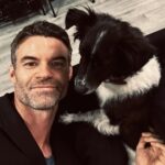 Daniel Gillies Instagram - discovered about 7 minutes ago that this little lady has her own legion of devotees. had to post immediately. thank you @mrs.maverick and thank you @nina for the loaner. ❤️