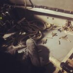 Daniel Gillies Instagram - great shoot tonight. #untitlednavysealsproject