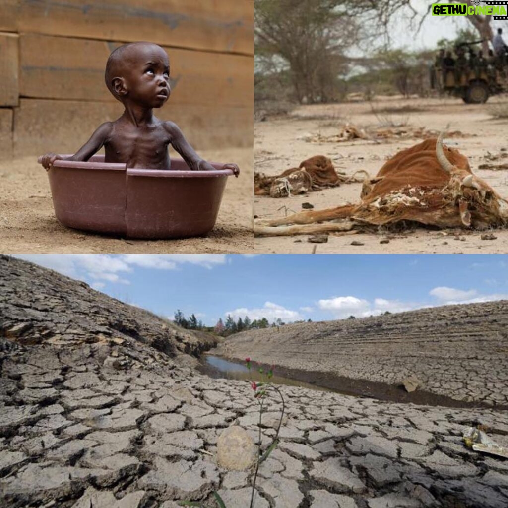 Daniel Gillies Instagram - WHY IS NO ONE TALKING ABOUT THIS? THIS IS SOMALIA. RIGHT NOW. these people are on the precipice of one of the most devastating famines the world has ever seen. animals are dead, crops are devastated and people are in hell. more than 6 million are likely to be affected. hundreds of children are perishing from malnutrition every day. PLEASE JOIN ME and donate here: goo.gl/uClvil LINK is also in my BIO. every penny counts. let's do something. love, dg.