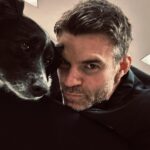 Daniel Gillies Instagram - discovered about 7 minutes ago that this little lady has her own legion of devotees. had to post immediately. thank you @mrs.maverick and thank you @nina for the loaner. ❤️