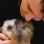 Daniel Howell Instagram - he is a GOOD BOY and i LOVE him even if he ate a BOX of vegan chocolate and puked under the TREE i just don’t want him to lick my FACE