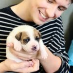 Daniel Howell Instagram - there is a two week old puppy falling asleep in my hands and i will do anything to protec him thank you @makeawishuk and @battersea for giving us and @rachael__pie this dream day Battersea Dog and Cats Home