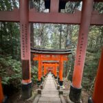Daniel Sharman Instagram - Land of the rising sun .. 🗾🇯🇵🏯🎎🌅