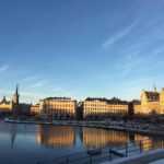 Daniel Sharman Instagram – Svensk 🇸🇪🇸🇪🇸🇪🇸🇪🇸🇪. Stockholm you’re incredible. X