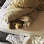 Daniel Sharman Instagram – Unemployed life.