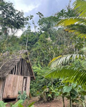 Daniel Sharman Instagram - Thanks @naku.com.ec for having us for this week. And to @manariushigua and @florencia.fridman for guiding us through the jungle and dreams. What a trip 🇪🇨🌱