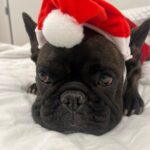 Daniel Wu Instagram - Who’s in the mood for Xmas?