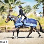 Daniel Wu Instagram - Winner winner chicken dinner! So proud of my wifey! She puts in a lot of hard work and effort to get these results. Now I gotta go out and get a podium win. ・・・ This circuit has given me another first. My first derby win! Now that was exhilarating ✨ 🐎 🏆 Thank you so much to my trainers who always stick by me even when I’m driving them crazy with my own self doubt @farwestfarms. @ivygatefarm @kiksporthorses