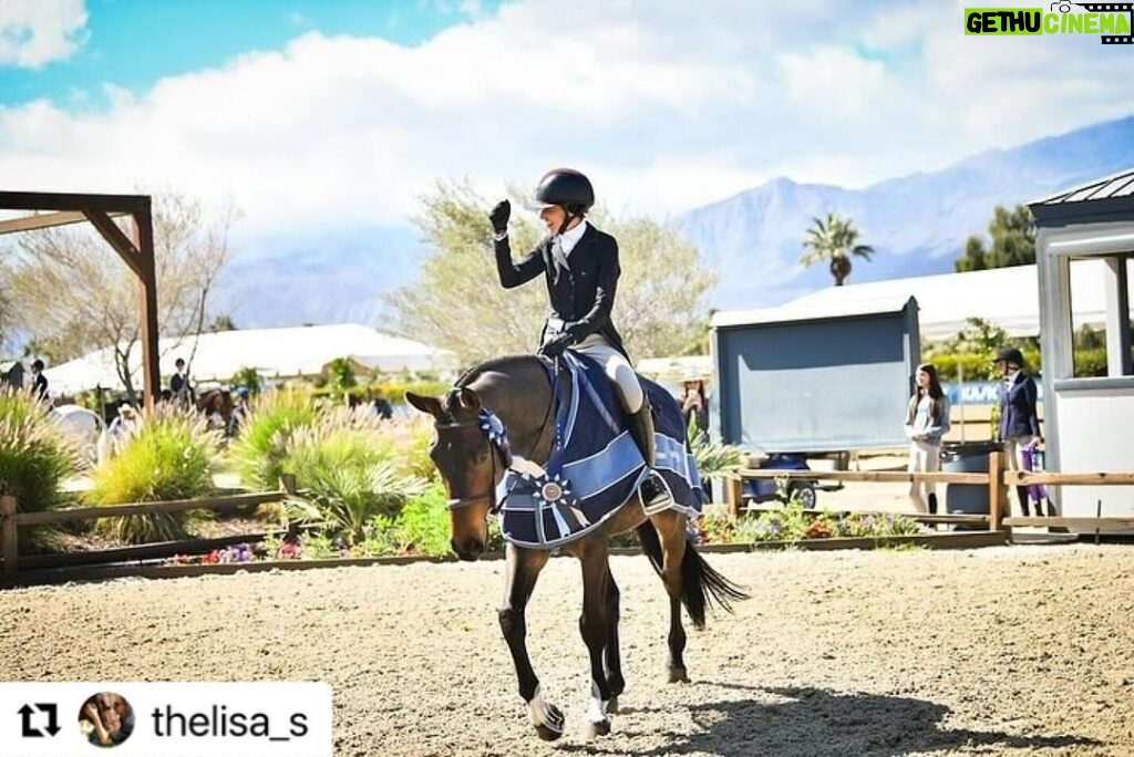 Daniel Wu Instagram - Winner winner chicken dinner! So proud of my wifey! She puts in a lot of hard work and effort to get these results. Now I gotta go out and get a podium win. ・・・ This circuit has given me another first. My first derby win! Now that was exhilarating ✨ 🐎 🏆 Thank you so much to my trainers who always stick by me even when I’m driving them crazy with my own self doubt @farwestfarms. @ivygatefarm @kiksporthorses