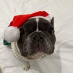 Daniel Wu Instagram – Who’s in the mood for Xmas?