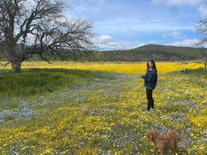 Danielle Campbell Instagram - Sundays and superblooms