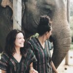 Danielle Campbell Instagram - 🐘🐘🐘 magic.