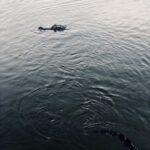 Danielle Campbell Instagram - I spy with my little eye..