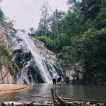 Danielle Campbell Instagram -