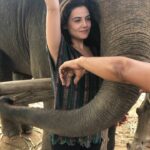 Danielle Campbell Instagram - 🐘🐘🐘 magic.
