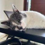 Danilla Riyadi Instagram - Aku pada "sok cantik" dan "sok oke"