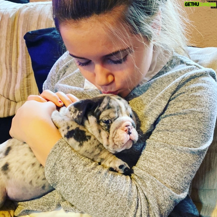 Danny Dyer - 26.8K Likes - My @sunniedyerxx with our new dog courtesy of @east_london_bulldogs get following people if you proper love a pooch.