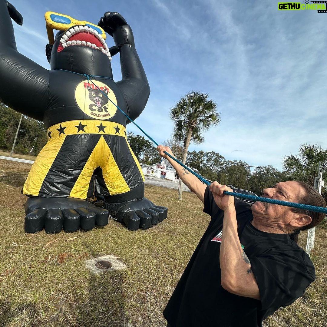 Danny Trejo Instagram - Greetings from Jacksonville Florida! If you’re wondering how I tamed the gorilla swipe to the next slide! Jacksonville, Florida