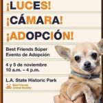 Danny Trejo Instagram – Lights! Camera! Adoption!
Best Friends Super Adoption is back and it’s happening this weekend! There will be hundreds of adorable, superstar dogs and cats from dozens of local shelters and rescue groups waiting to be discovered. Now’s your chance to find the perfect pet to play a leading role in your life as your new best friend! It’s a super, life-saving event not to be missed – this Saturday and Sunday, November 4 and 5 from 10am-4pm at Los Angeles State Historic Park, 1245 N. Spring Street, in the heart of L.A.  To learn more, go to my *Link in Bio*
#Nokill2025 #SaveThemAll #SuperAdoption