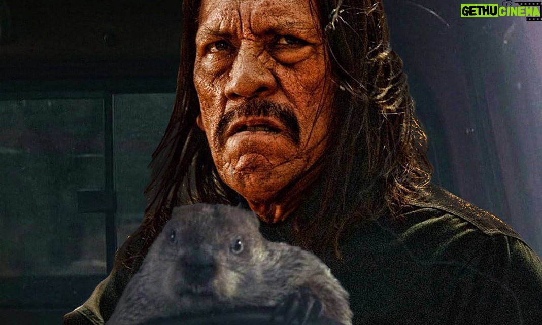 Danny Trejo Instagram - Happy #GroundhogDay!