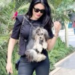 Dareen Haddad Instagram - 🌞 #picoftheday Walk Of Cairo