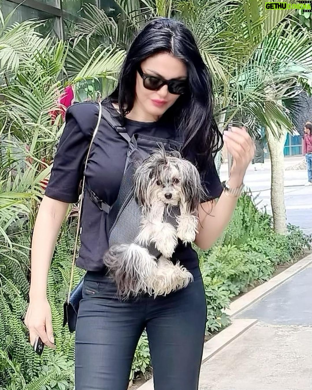 Dareen Haddad Instagram - 🌞 #picoftheday Walk Of Cairo