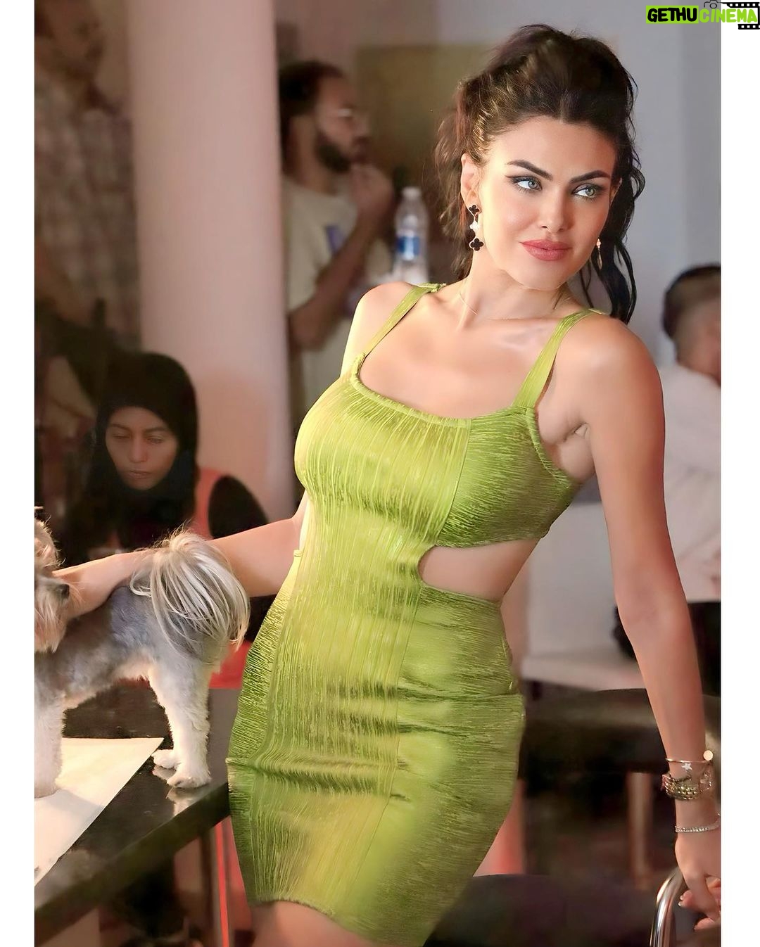 Dareen Haddad Instagram - When you’re happy notice it 💚🐩