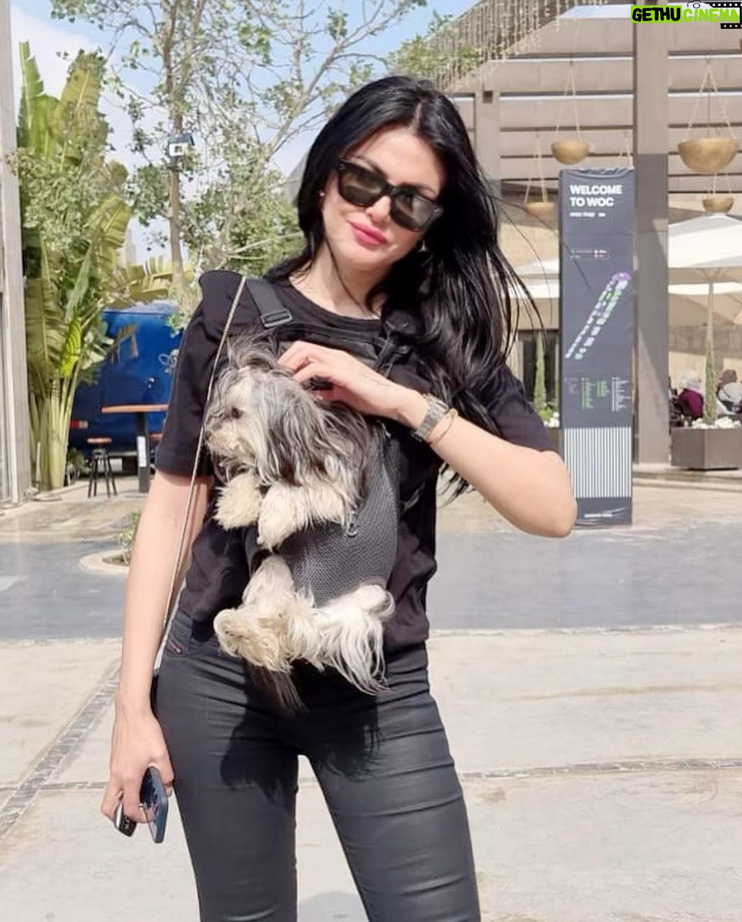 Dareen Haddad Instagram - 🌞 #picoftheday Walk Of Cairo