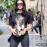 Dareen Haddad Instagram - 🌞 #picoftheday Walk Of Cairo