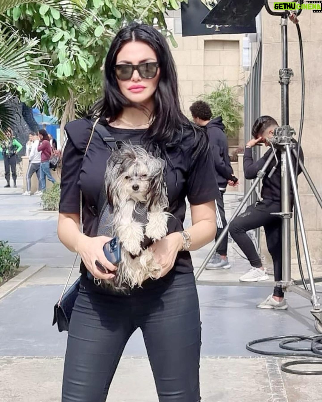 Dareen Haddad Instagram - 🌞 #picoftheday Walk Of Cairo