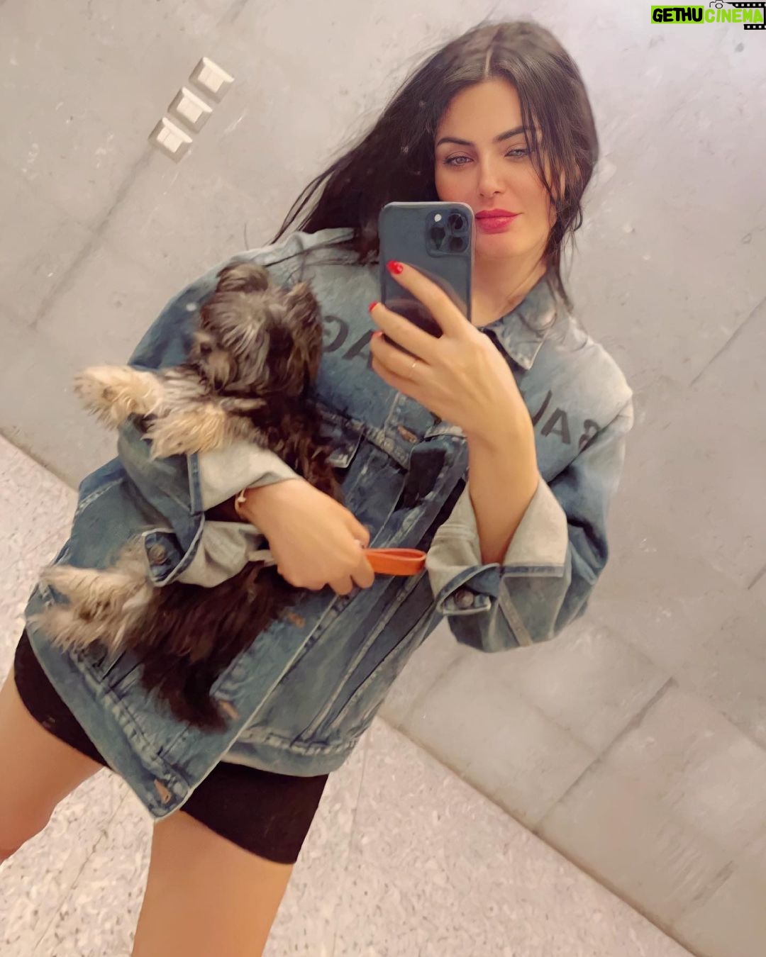 Dareen Haddad Instagram - 🥰.. #cairo #homesweethome #teacuppuppies #دارين_ØØ¯Ø§Ø¯ #fandoud #babygirl🎀 Home Sweet Home
