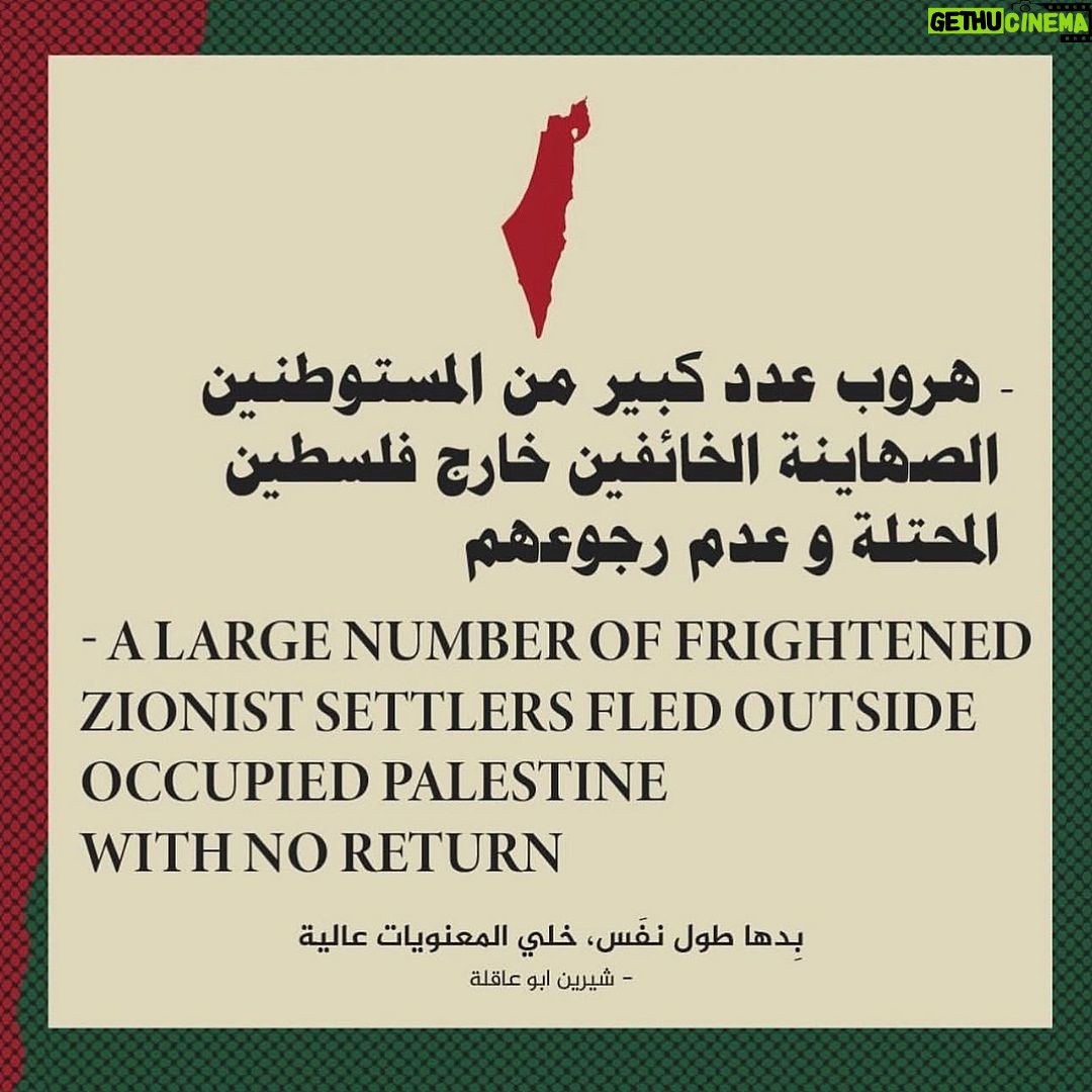 Dareen Haddad Instagram - π΅πΈπ #freepalestine #gazaunderattack #gazapalestine #palestine