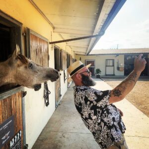 Darko Peric Instagram - About the weekend! 🐎🐎
#pma #loveanimalshateracism