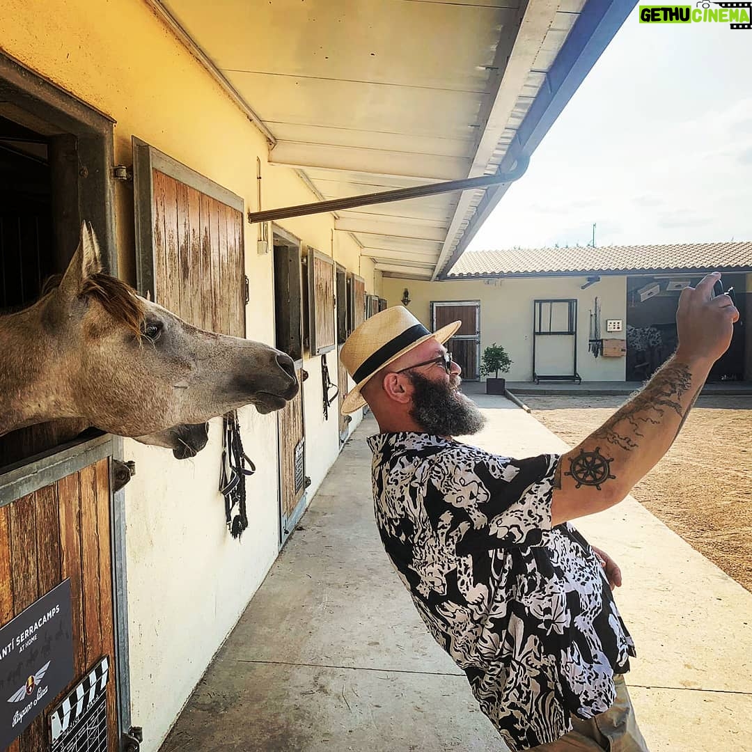 Darko Peric - 67.1K Likes - About the weekend! 🐎🐎
#pma #loveanimalshateracism