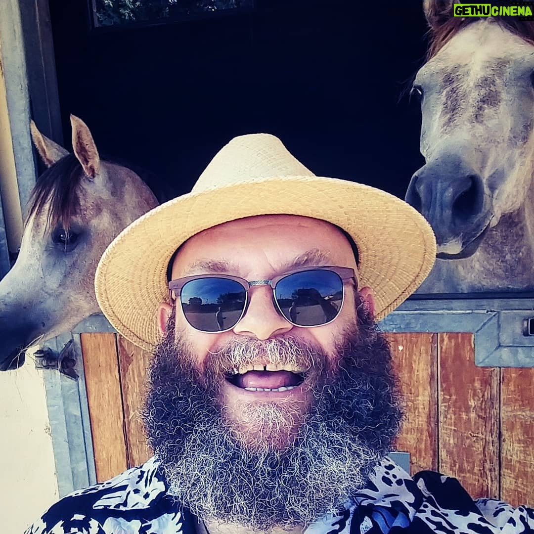 Darko Peric - 67.1K Likes - About the weekend! 🐎🐎
#pma #loveanimalshateracism