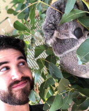 Darren Criss Instagram - BONZER! Stoked to finally announce a run of shows in Australia! I’ve always been so appreciative of the support I’ve had throughout the years from down under, from the YouTube days to TV and Broadway and beyond. And I’m not here to f*k spiders m8, you bet I’ll be bringing all those tunes with me. Can’t wait to finally have a singalong with all you lovely folks who’ve been waiting patiently for them in the southern hemisphere. Special thanks to @michaelcasselgroup for making this happen. Here’s some pics from my last visit to celebrate how excited I am to not only return, but to get to see more of Oz! 🤘😎🇦🇺

Adelaide 9/3
Canberra 9/4
Melbourne 9/5
Hobart 9/7
Sydney 9/11

Tickets on sale July 27, link in bio for more info. Catch ya soon…