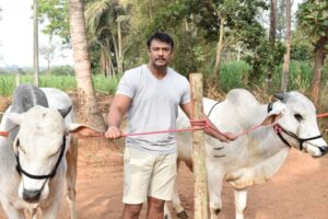 Darshan Thoogudeepa Instagram - ಕಷ್ಟದ ದಿನಗಳು ಕಳೆದು ಹೋಗಲಿ, ಈ ಹಬ್ಬ ಅನಂತ ಸಂತೋಷ, ನೆಮ್ಮದಿಯನ್ನು ಹೊತ್ತು ತರಲಿ. ಎಲ್ಲರಿಗೂ ಮಕರ ಸಂಕ್ರಾಂತಿಯ ಹಾರ್ದಿಕ ಶುಭಾಶಯಗಳು