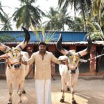 Darshan Thoogudeepa Instagram – ವರ್ಷದ ಮೊದಲ ಹಬ್ಬ ಮಕರ ಸಂಕ್ರಾಂತಿ ಎಲ್ಲರಲ್ಲೂ ಹೊಸ ಉತ್ಸಾಹ, ನವಚೈತನ್ಯ, ನೆಮ್ಮದಿಯ ಬಾಳನ್ನು ಕರುಣಿಸಲಿ.
ಕಹಿ ನೆನಪು ಮರೆಯಾಗಲಿ, ಸಿಹಿ ನೆನಪು ಚಿರವಾಗಲಿ, ಹೊಸ ದಿನಗಳಲ್ಲಿ ನೀವು ಕಂಡ ಕನಸು ನನಸಾಗಲಿ. ನೆಮ್ಮದಿಯ ಬಾಳು ನಿಮ್ಮದಾಗಲಿ.