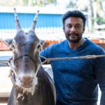 Darshan Thoogudeepa Instagram - ಸಮಸ್ತ ನಾಡಿನ ಜನತೆಗೆ ಮಕರ ಸಂಕ್ರಾಂತಿಯ ಹಾರ್ದಿಕ ಶುಭಾಶಯಗಳು. ನಮ್ಮ ಸಾಂಸ್ಕೃತಿಕ ಹಬ್ಬವನ್ನು ಹೆಚ್ಚು ಸಂಭ್ರಮ ಸಡಗರದಿಂದ ಆಚರಿಸಿ 😊