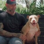 Dave Bautista Instagram - This is the story of my beautiful baby girl Penny Bautista. I’m grateful for every day I get to spend with her and my 3 other rescues. To celebrate my birthday this year, I’ll be giving instead of receiving. If you’d like to celebrate my birthday with me, please feel free to donate to my 3 favorite local organizations: @golden_ears_sanctuary @frankiesfriends @humanesocietytampa - No donation is too small. Every dollar helps a furry friend in need ❤️ #adoptdontshop #rescuepitbulls #foreverhome #saveastray #pitbulls Tampa Florida