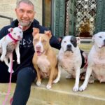 Dave Bautista Instagram - Hey all, I'd like you to meet the newest member of my Valentine’s day crew, Talulah Bautista! Big love to @prattprattpratt for introducing me to @milliebobbybrown and @joeysfriends22 - Thanks to Millie’s love for rescue animals she made it all possible for me to adopt and give Talulah a forever home! I’m so grateful, thank you! Welcome to the family Talulah! #adoptdontshop #HappyValentinesDay to everyone!