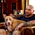 Dave Bautista Instagram - Sheltered dogs don’t mean they’re damaged, it means humans have let them down. Rescued is my favorite breed. #ShelteredPetsDay #Penny