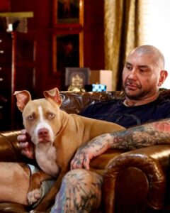 Dave Bautista Instagram - Sheltered dogs don’t mean they’re damaged, it means humans have let them down. Rescued is my favorite breed. #ShelteredPetsDay #Penny