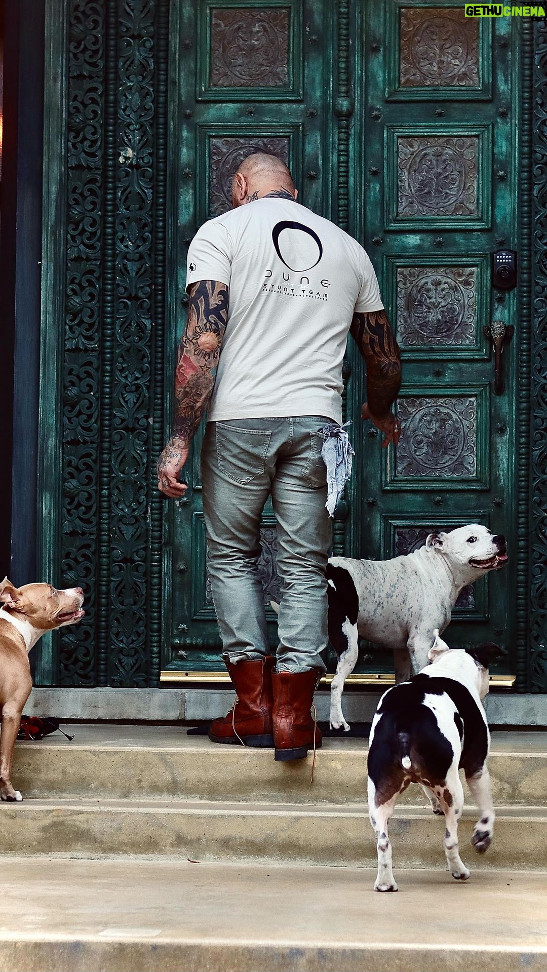 Dave Bautista Instagram - Home is where my dogs are… #HappyBirthday #Ollie #Maggie #Penny