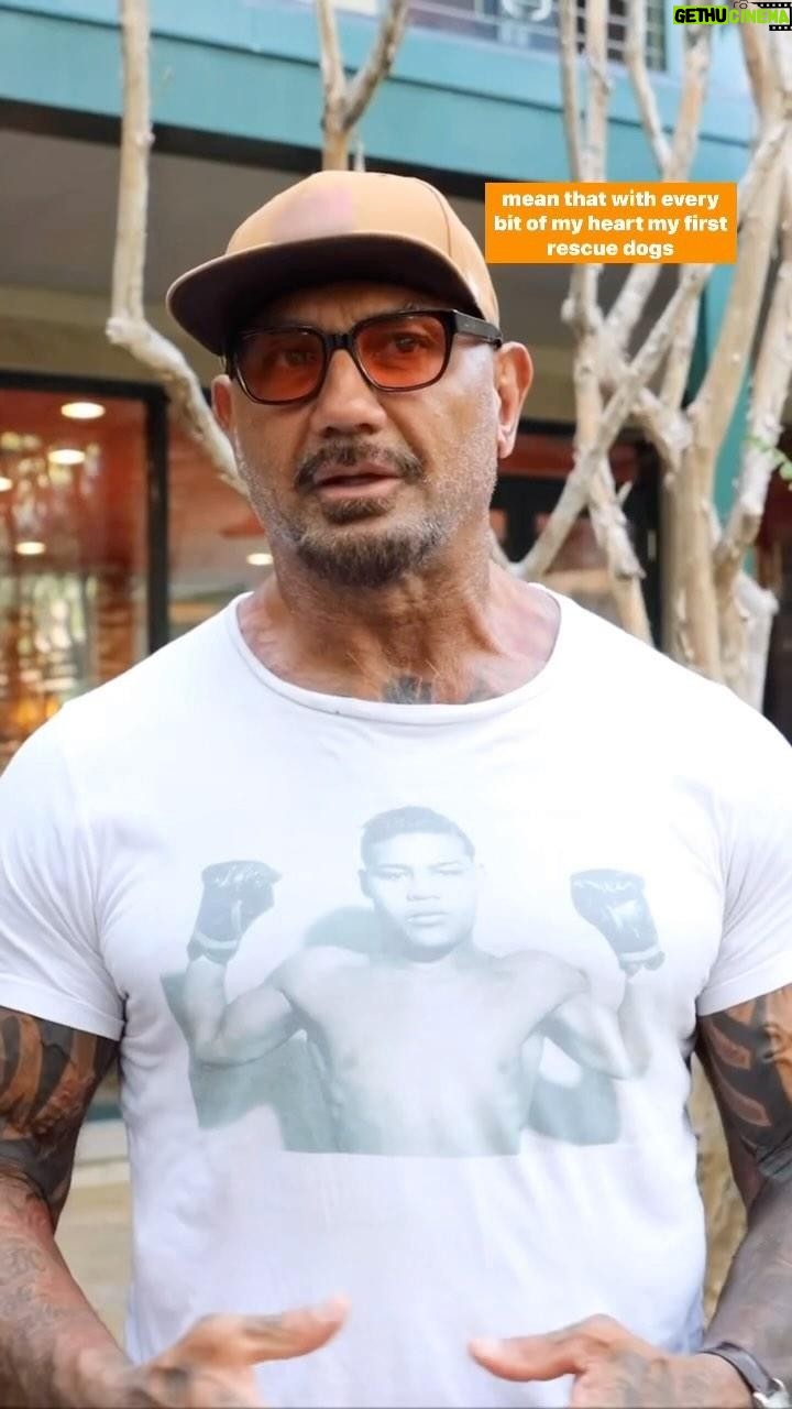 Dave Bautista Instagram - In honor of #GivingTuesday, @davebautista, actor, animal advocate and dog dad is collaborating with the ASPCA to raise awareness and encourage support for vulnerable animals throughout the holiday season 🧡 This GivingTuesday, and throughout the rest of the year, we’re calling for support for the thousands of animals across the country who need meals, shelter and care before their happily ever after becomes reality. Please make a lifesaving gift today! #ASPCA